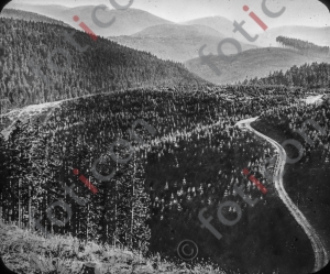Wandertage im Harz-sw --- Walking Days in green Harz-bw